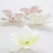 Modeling tool for fondant flowers and leaves