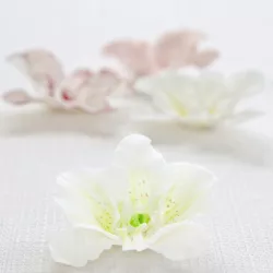 Strumento per modellare per fiori e foglie in Fondant