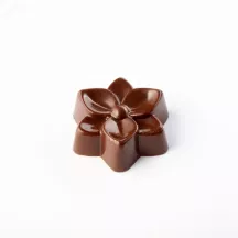 Bouquet di fiori in stampo di cioccolato, 24 pezzi
