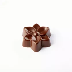 Moule à pralines Bouquet de fleurs, 24 pièces