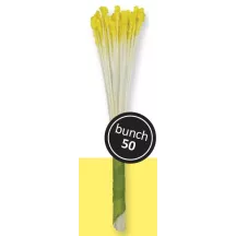 Flower pollen yellow for lilies, 50 pieces