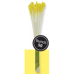Flower pollen yellow for lilies, 50 pieces
