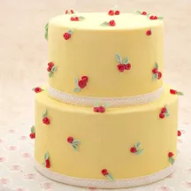 Dummy per torta rotondo Ø 15 cm x 5 cm