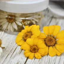 Marguerites jaunes séchées comestibles, 15 pièces