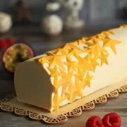 Starlight Bûche mold, Silikomart, 1200 ml