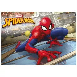 1 Disque azyme rectangulaire - Spiderman