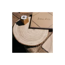 Wood slice 25 x 2 cm