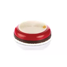 Tourbillon 100 - Silicon mould