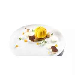 Bloom 120 - Silikonform von Silikomart für mousse und mehr