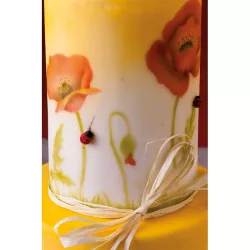 Pochoirs Airbrush coquelicots, 3 motifs