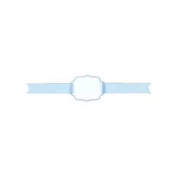 6 segnaposti blu
