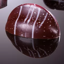 Modern semicircular praline mold - 20 pralines