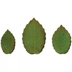 Leaf Cutter Set