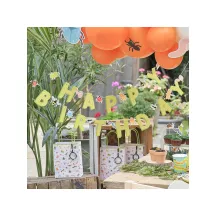 Insect "Happy Birthday" garland