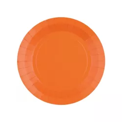 10 Orange Pappteller