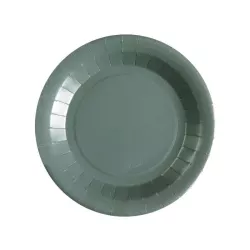 10 Eucalyptus paper plates