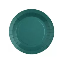 10 Duck blue paper plates