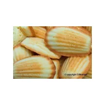 Mini Madeleine Silikonbakform