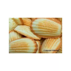 Mini Madeleines silicone mold