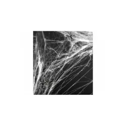Spider Web - white