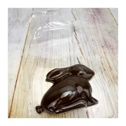 Stampo per cioccolato "Coniglietto bugiardo