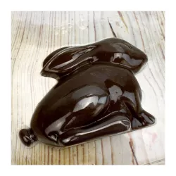 Stampo per cioccolato "Coniglietto bugiardo