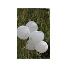 6 Luftballons "Communion"