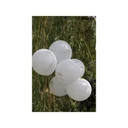 6 Ballons Communion