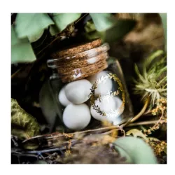 Glass jars - Baptême
