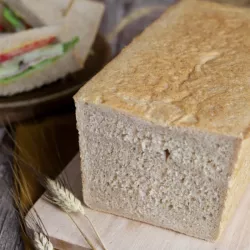 Teglia per toast