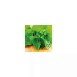 Flavouring "Green Mint" 100g