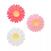 13 Wafer daisies