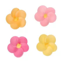 12 Wafer primroses