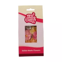 12 Wafer primroses