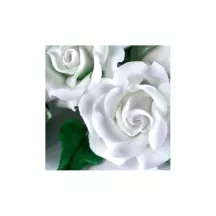 Pasta di fiori ''bianca'' - 250g