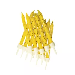 Yellow glitter candles