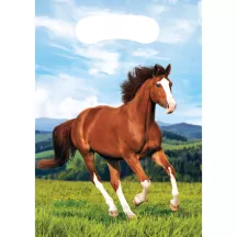 8 sacchetti per feste - cavallo