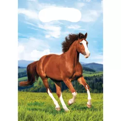 8 sacchetti per feste - cavallo
