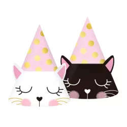 6 Party hats cat