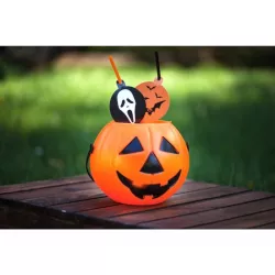 1 secchio "Zucca
