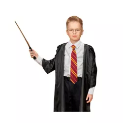 Bacchetta magica di Harry Potter