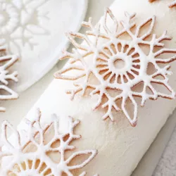 100g Velvet glittering snow powder