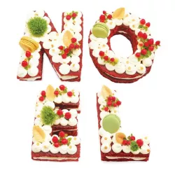 Letter cake "Noël"