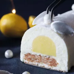 2 moules à insert pour bûche