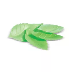 24 Feuilles en azyme