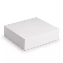 Cake box 20 x 20 x 5 cm