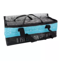 1 Rectangular cooler bag