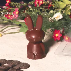 Chocolate mould rabbits in 3 parts