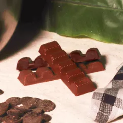 Chocolate mould for 4 chocolate bars