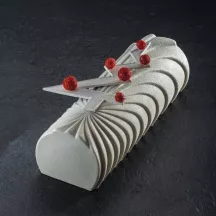 Silikonform Bûche "Comet"